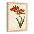 Vibrant Curtis Botanicals Vi | Cuadro decorativo de Canvas Lab