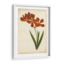 Vibrant Curtis Botanicals Vi | Cuadro decorativo de Canvas Lab