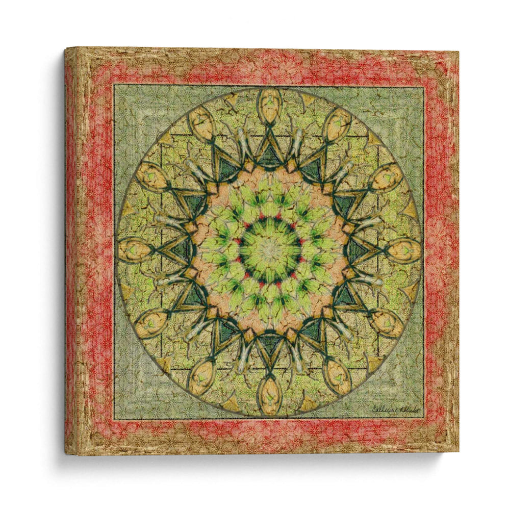 Floresis Mandala I - Catherine Kohnke | Cuadro decorativo de Canvas Lab