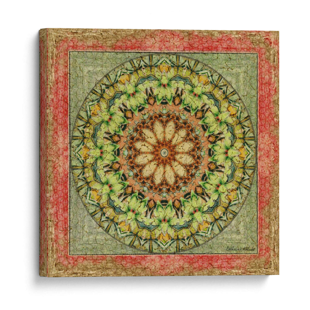 Floresis Mandala Iii - Catherine Kohnke | Cuadro decorativo de Canvas Lab