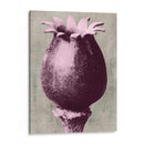 Blossfeldt Redeux I - Vision Studio | Cuadro decorativo de Canvas Lab