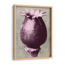 Blossfeldt Redeux I - Vision Studio | Cuadro decorativo de Canvas Lab