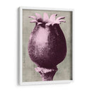 Blossfeldt Redeux I - Vision Studio | Cuadro decorativo de Canvas Lab