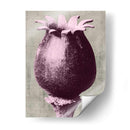 Blossfeldt Redeux I - Vision Studio | Cuadro decorativo de Canvas Lab