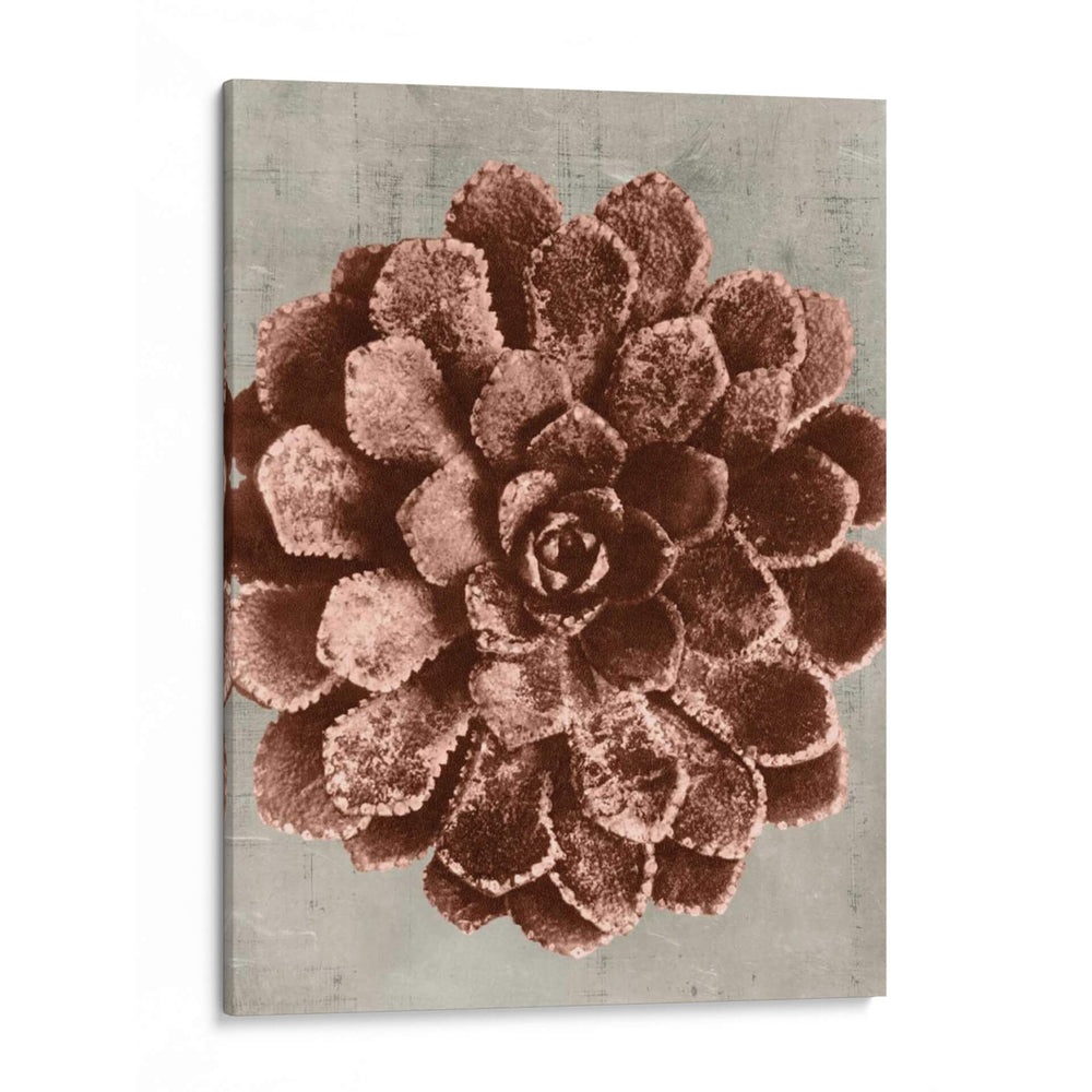 Blossfeldt Redeux Ii - Vision Studio | Cuadro decorativo de Canvas Lab
