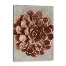 Blossfeldt Redeux Ii - Vision Studio | Cuadro decorativo de Canvas Lab