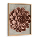 Blossfeldt Redeux Ii - Vision Studio | Cuadro decorativo de Canvas Lab