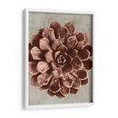 Blossfeldt Redeux Ii - Vision Studio | Cuadro decorativo de Canvas Lab