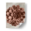 Blossfeldt Redeux Ii - Vision Studio | Cuadro decorativo de Canvas Lab