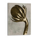 Blossfeldt Redeux Iii - Vision Studio | Cuadro decorativo de Canvas Lab