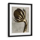 Blossfeldt Redeux Iii - Vision Studio | Cuadro decorativo de Canvas Lab