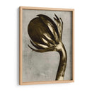 Blossfeldt Redeux Iii - Vision Studio | Cuadro decorativo de Canvas Lab