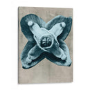 Blossfeldt Redeux Iv - Vision Studio | Cuadro decorativo de Canvas Lab