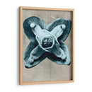 Blossfeldt Redeux Iv - Vision Studio | Cuadro decorativo de Canvas Lab