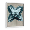 Blossfeldt Redeux Iv - Vision Studio | Cuadro decorativo de Canvas Lab