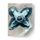 Blossfeldt Redeux Iv - Vision Studio | Cuadro decorativo de Canvas Lab