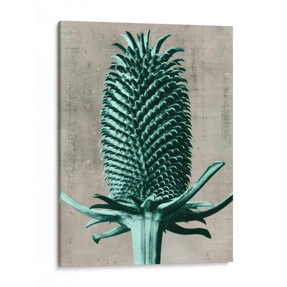 Blossfeldt Redeux V - Vision Studio | Cuadro decorativo de Canvas Lab