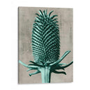 Blossfeldt Redeux V - Vision Studio | Cuadro decorativo de Canvas Lab