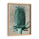 Blossfeldt Redeux V - Vision Studio | Cuadro decorativo de Canvas Lab