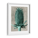 Blossfeldt Redeux V - Vision Studio | Cuadro decorativo de Canvas Lab