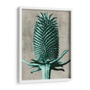 Blossfeldt Redeux V - Vision Studio | Cuadro decorativo de Canvas Lab