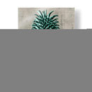 Blossfeldt Redeux V - Vision Studio | Cuadro decorativo de Canvas Lab