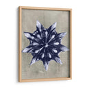 Blossfeldt Redeux Vi - Vision Studio | Cuadro decorativo de Canvas Lab