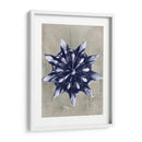 Blossfeldt Redeux Vi - Vision Studio | Cuadro decorativo de Canvas Lab