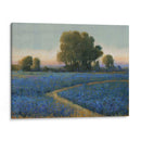 Campo De Capó Azul I - Tim OToole | Cuadro decorativo de Canvas Lab