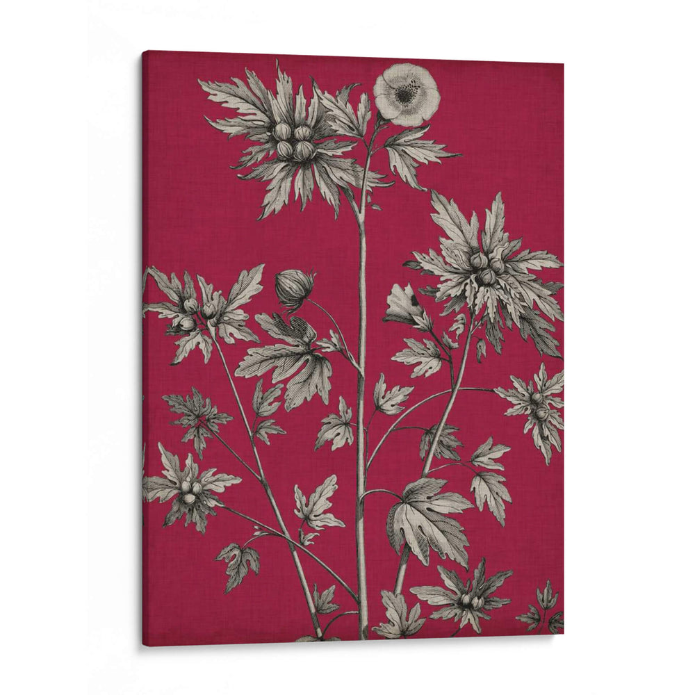 Vivid Chintz Ii - Vision Studio | Cuadro decorativo de Canvas Lab