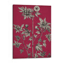 Vivid Chintz Ii - Vision Studio | Cuadro decorativo de Canvas Lab