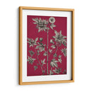 Vivid Chintz Ii - Vision Studio | Cuadro decorativo de Canvas Lab