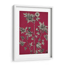 Vivid Chintz Ii - Vision Studio | Cuadro decorativo de Canvas Lab