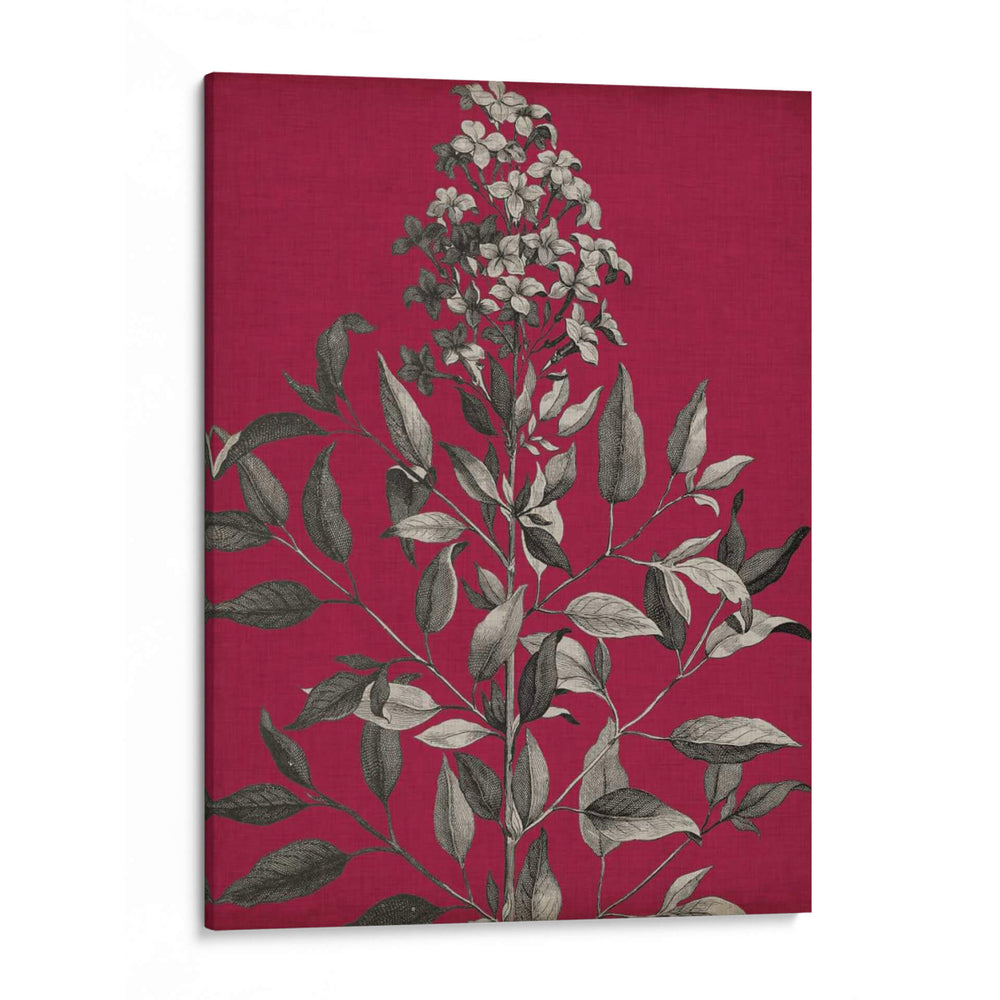 Vivid Chintz Iv - Vision Studio | Cuadro decorativo de Canvas Lab