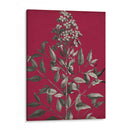 Vivid Chintz Iv - Vision Studio | Cuadro decorativo de Canvas Lab