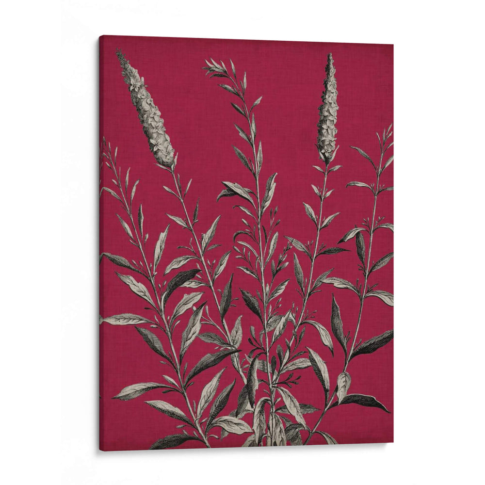 Vívido Chintz V - Vision Studio | Cuadro decorativo de Canvas Lab