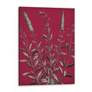 Vívido Chintz V - Vision Studio | Cuadro decorativo de Canvas Lab