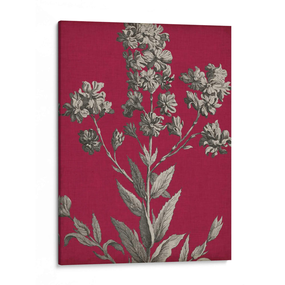Vívido Chintz Vi - Vision Studio | Cuadro decorativo de Canvas Lab