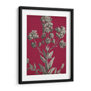 Vívido Chintz Vi - Vision Studio | Cuadro decorativo de Canvas Lab