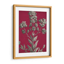 Vívido Chintz Vi - Vision Studio | Cuadro decorativo de Canvas Lab