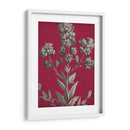 Vívido Chintz Vi - Vision Studio | Cuadro decorativo de Canvas Lab