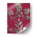 Vívido Chintz Vi - Vision Studio | Cuadro decorativo de Canvas Lab