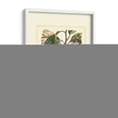 Estudio De Limón Francés I - A. Risso | Cuadro decorativo de Canvas Lab