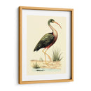 Pájaros De Agua I - H.L. Meyer | Cuadro decorativo de Canvas Lab