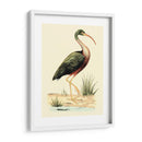 Pájaros De Agua I - H.L. Meyer | Cuadro decorativo de Canvas Lab