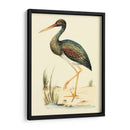 Pájaros De Agua Ii - H.L. Meyer | Cuadro decorativo de Canvas Lab