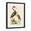 Pájaros De Agua Iii - H.L. Meyer | Cuadro decorativo de Canvas Lab