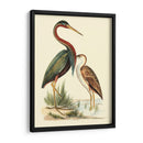 Pájaros De Agua Iii - H.L. Meyer | Cuadro decorativo de Canvas Lab