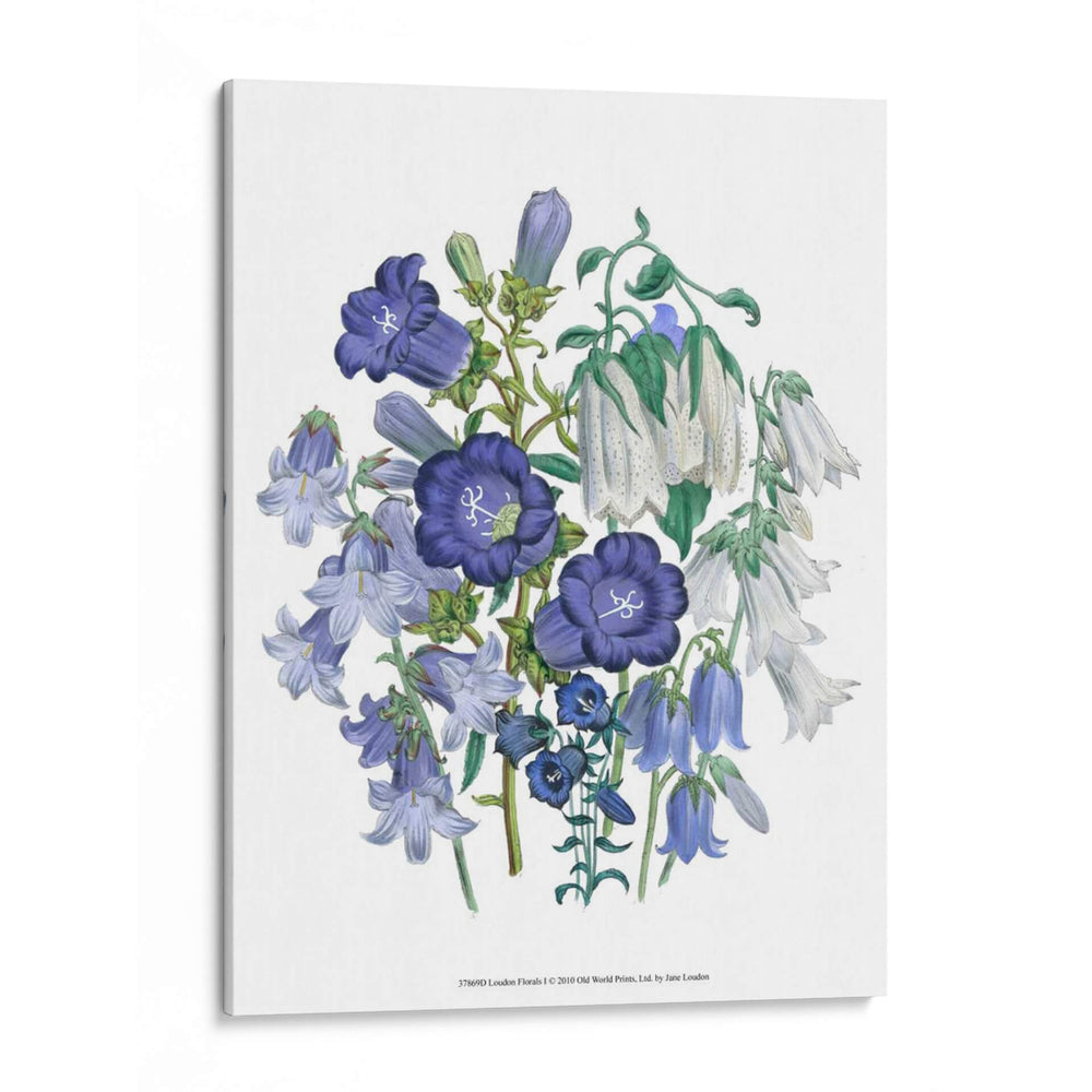 Loudon Florals I - Jane Loudon | Cuadro decorativo de Canvas Lab