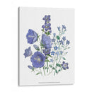 Loudon Florals Ii - Jane Loudon | Cuadro decorativo de Canvas Lab